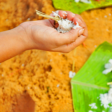 pitra dosh puja